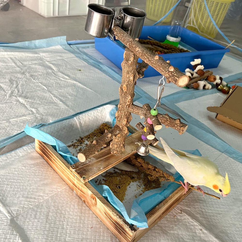LIMIO stable playground keeps birds safe during playtime.