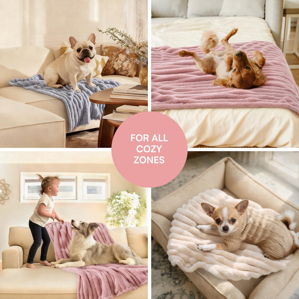 LINENLUX pet blanket available in small, medium, and large sizes.