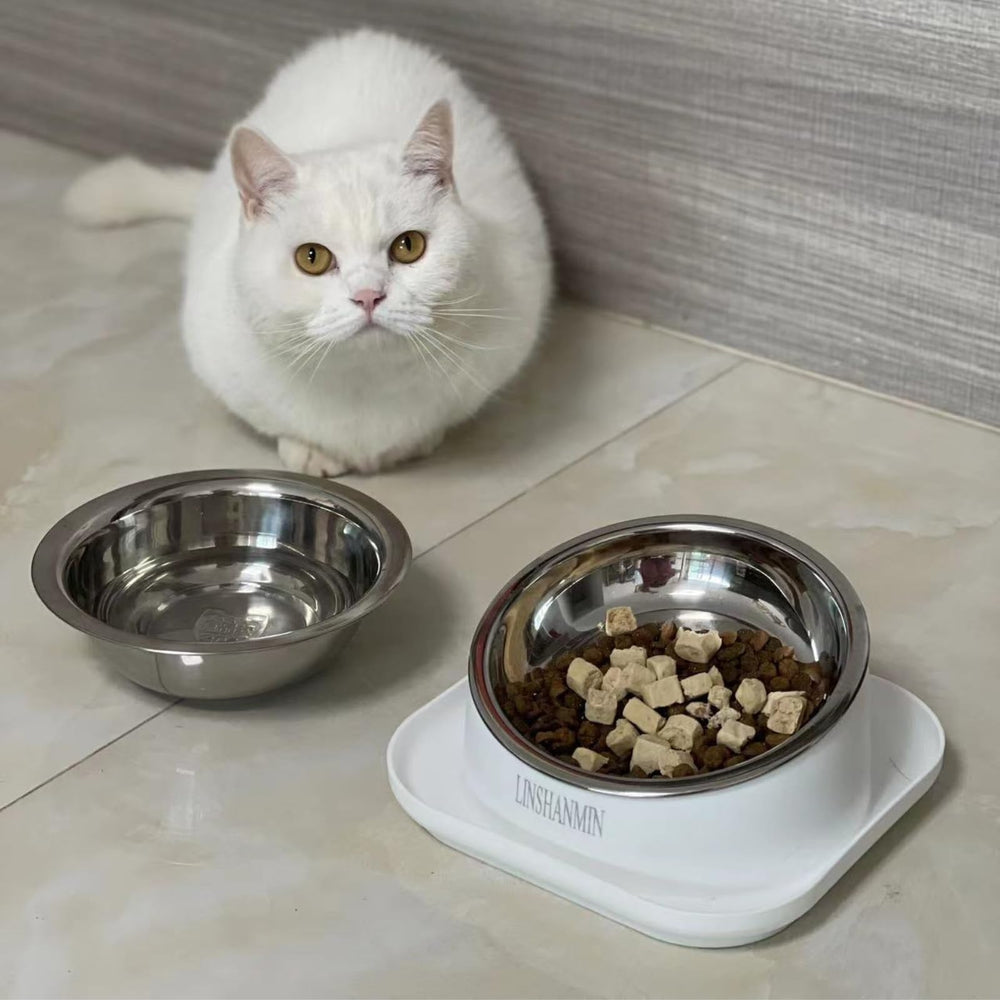 Linshanmin indoor cat mealtime set promotes neat, organized feeding areas