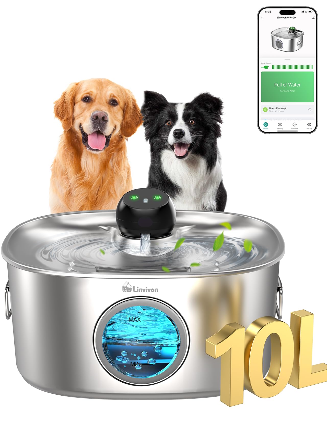 Linvivon dog water bowl dispenser with 10L tank for reliable hydration