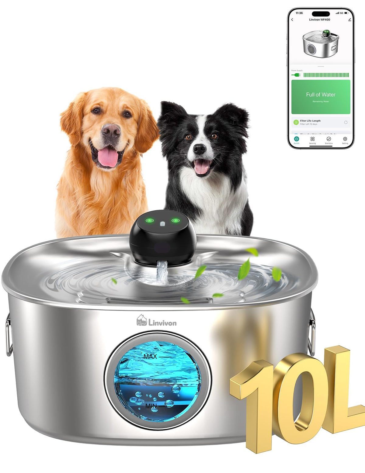 Linvivon dog water bowl dispenser with 10L tank for reliable hydration