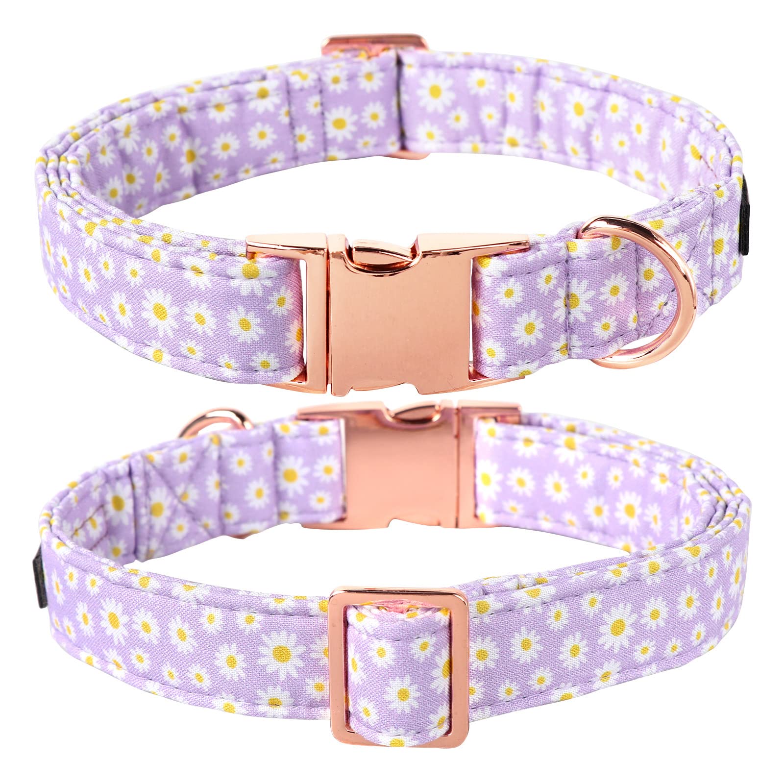 Lionet Paws alloy buckles collar ensures durability and easy use.