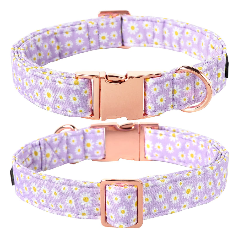 Lionet Paws alloy buckles collar ensures durability and easy use.