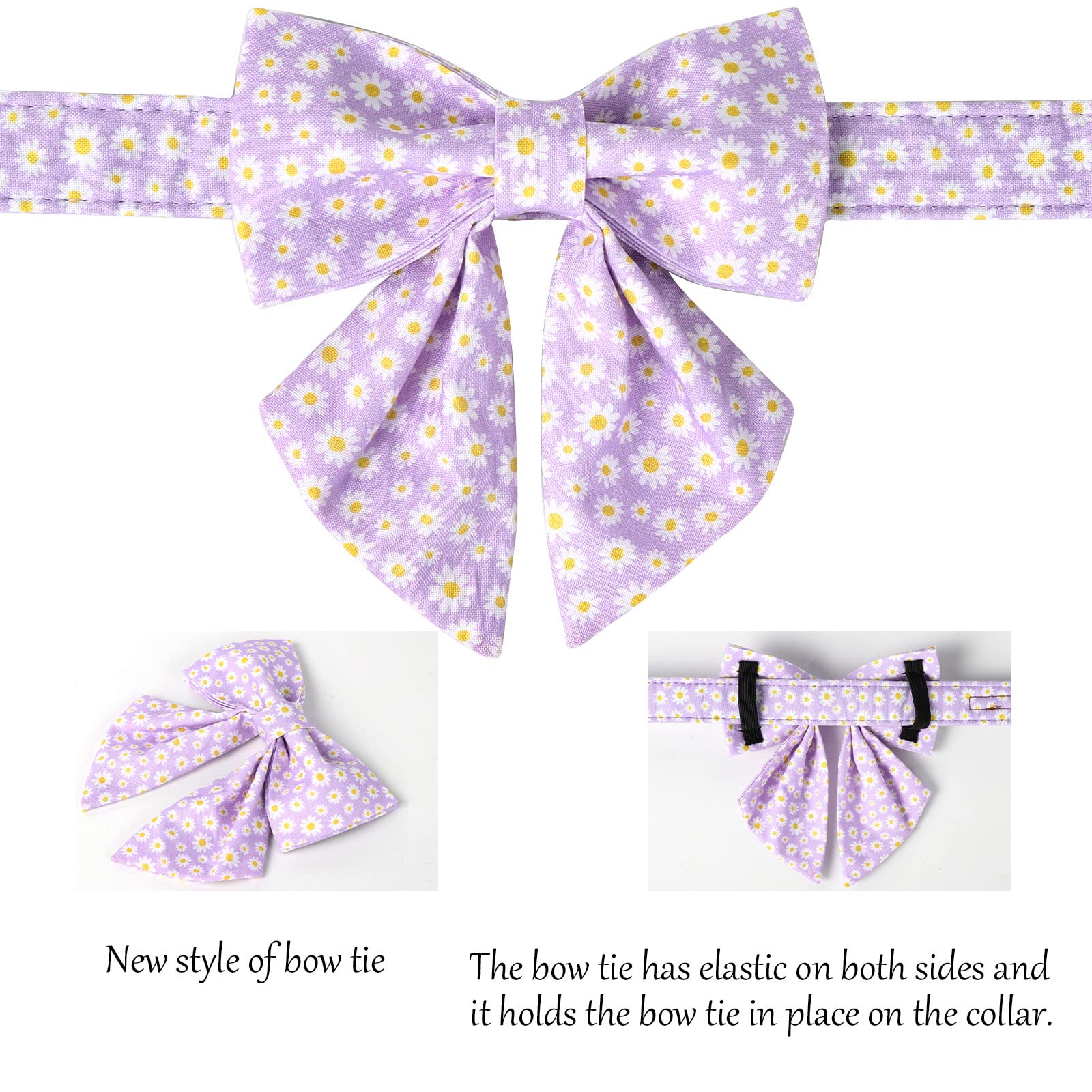 Lionet Paws daisy-pattern collar adds cheerful flair for spring walks.