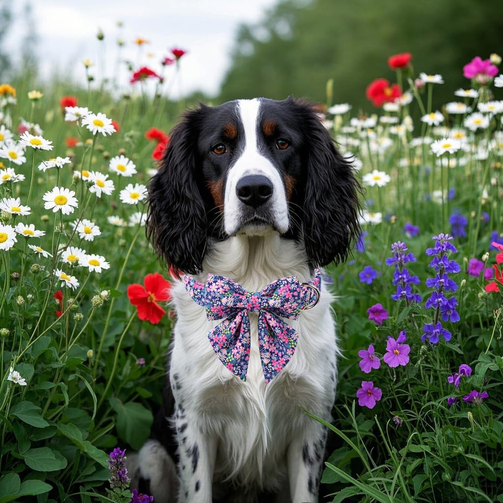Lionet Paws detachable bow-tie collar lets you switch looks easily.