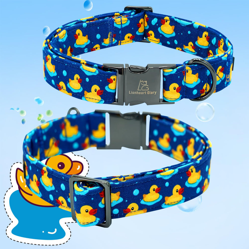Lionheart Glory small-dog-collar designed for extra-small breeds