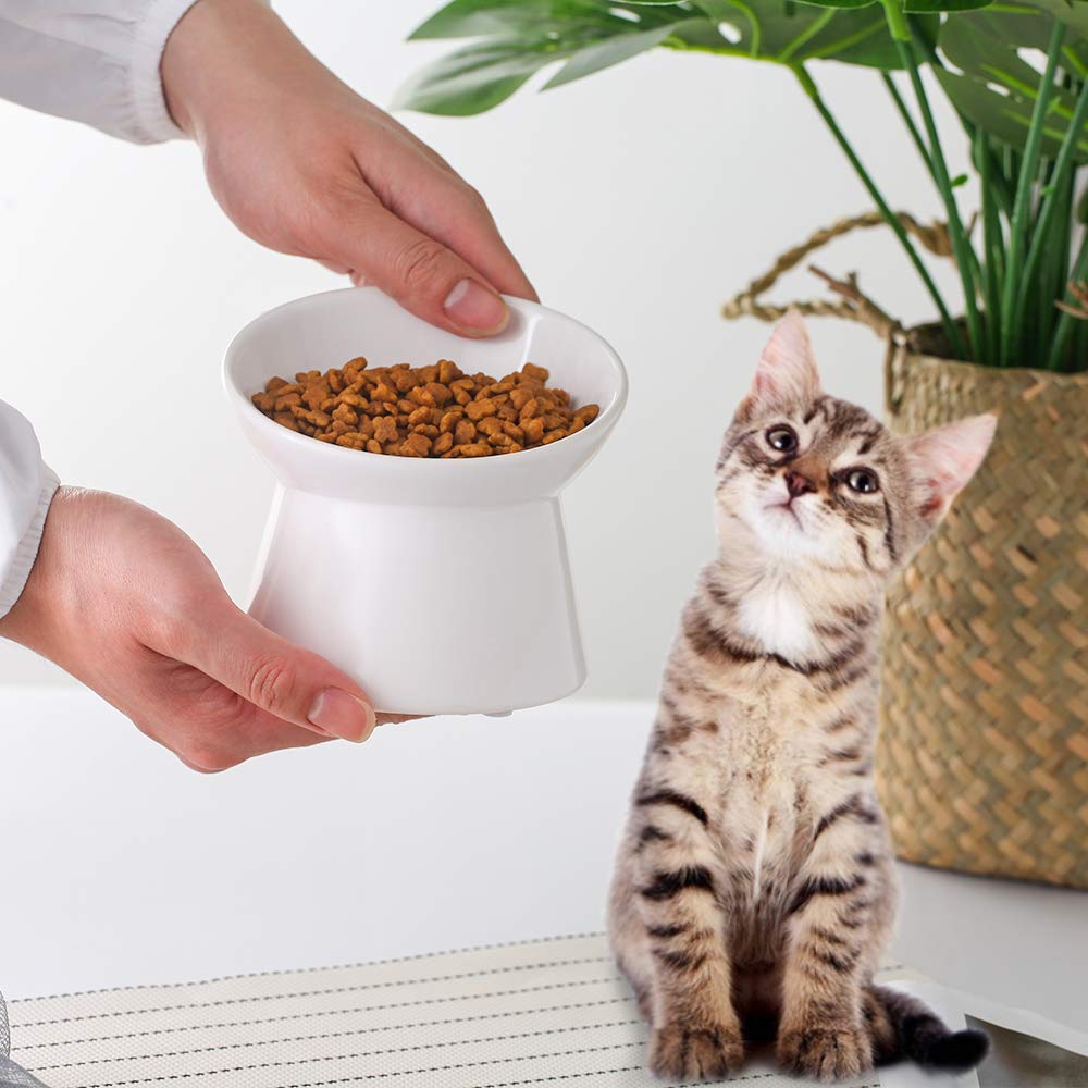 LIONWEI backflow prevention minimizes drips and mess at mealtime.
