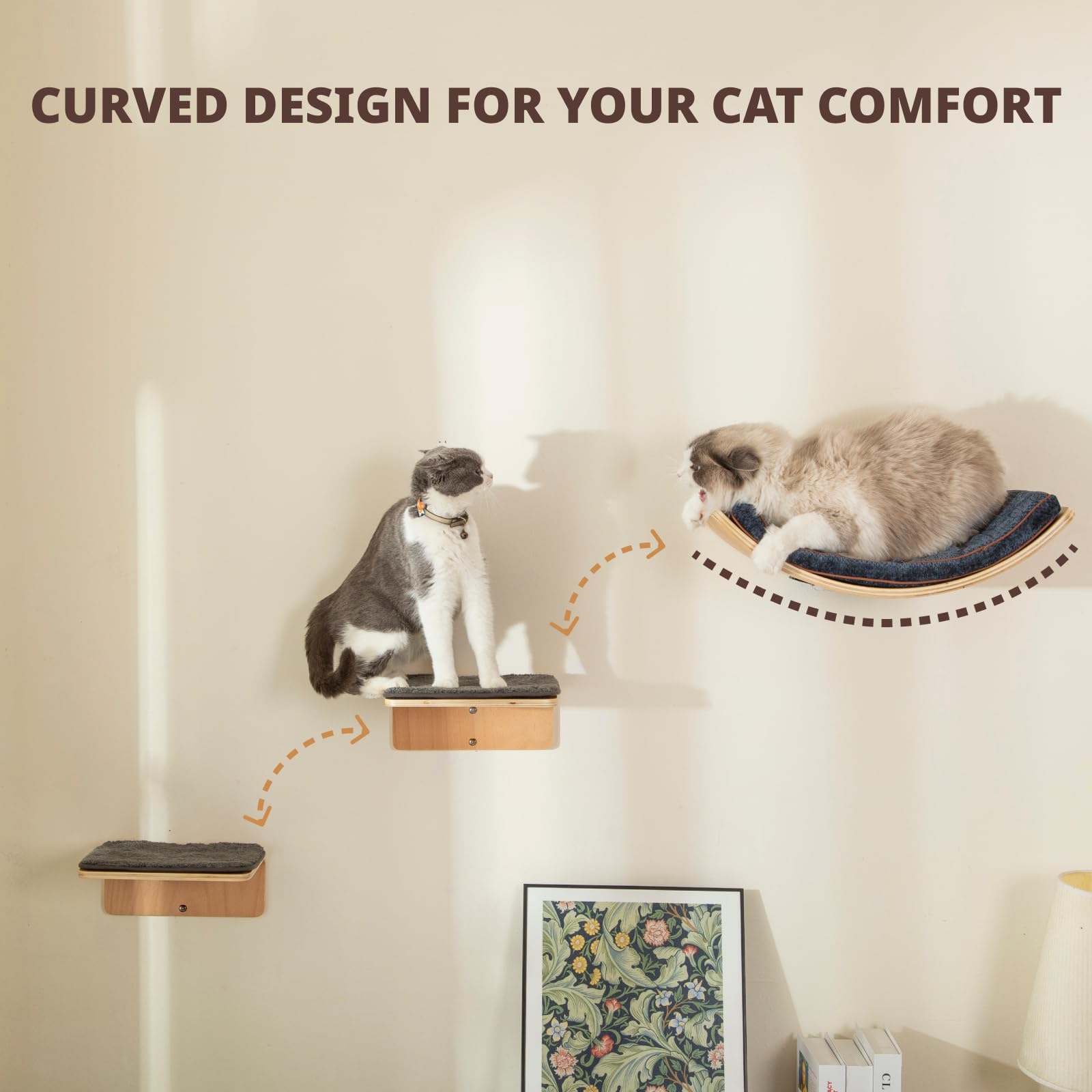 LIORCE two-step cat shelf highlights easy access to high perches.