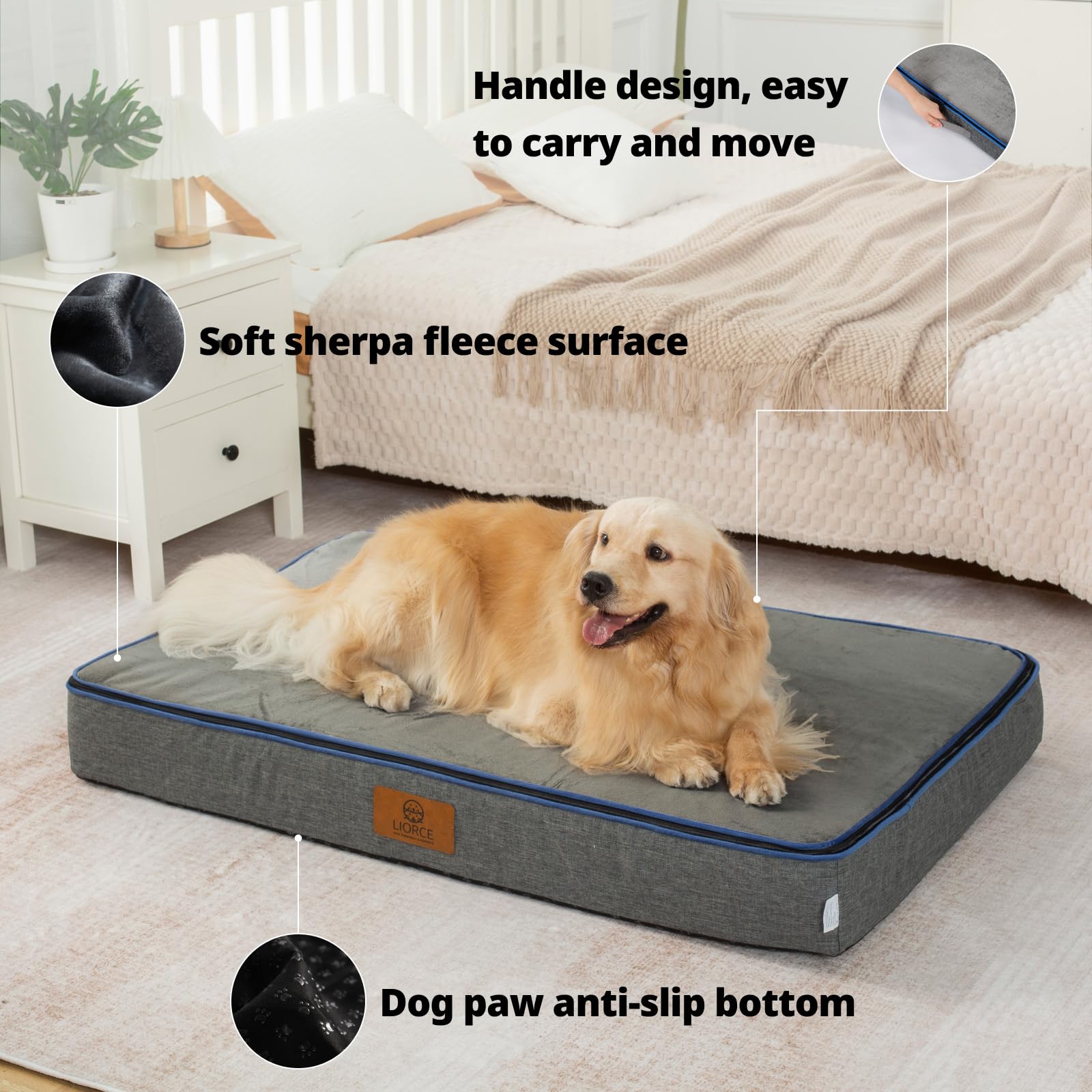 LIORCE bed shown in living room and car setups for versatile use