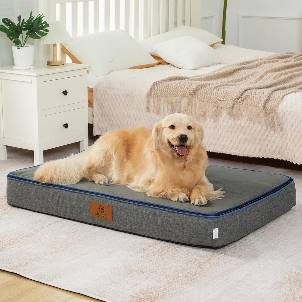 LIORCE orthopedic memory foam bed with plush support for extra-large dogs’ joints and comfort