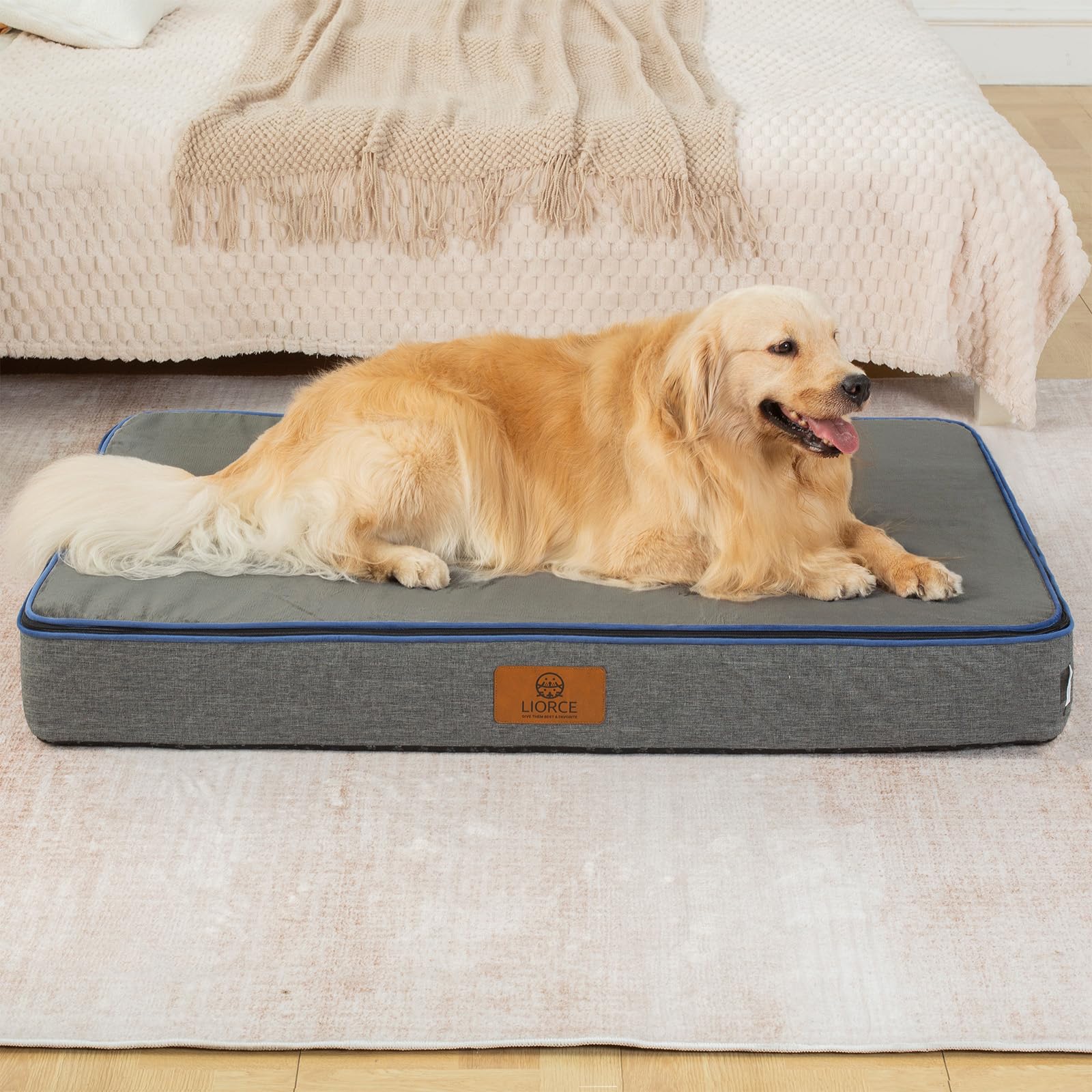 LIORCE removable washable cover close-up highlighting easy maintenance