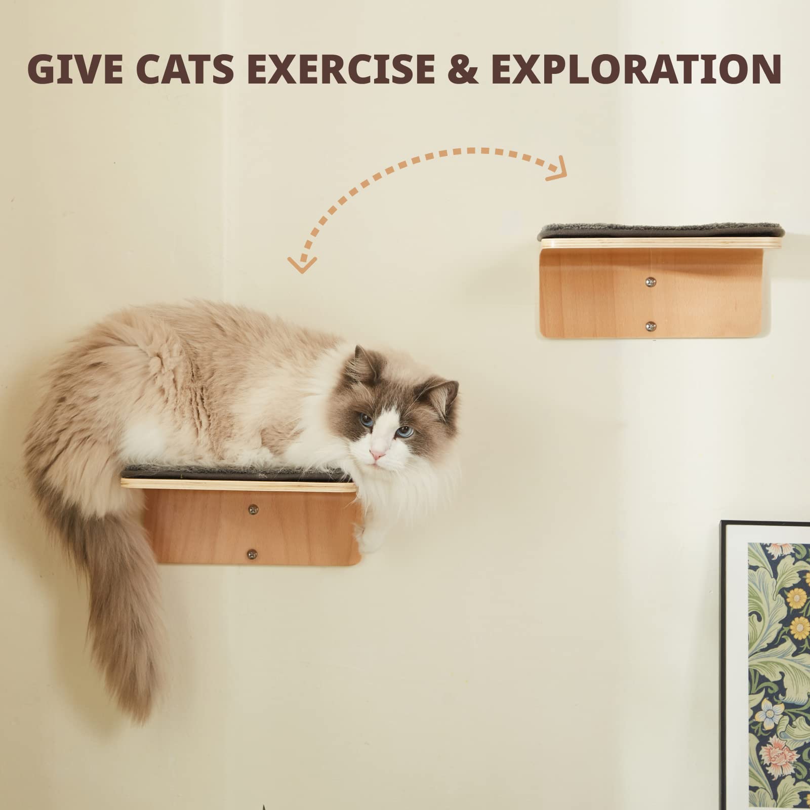 LIORCE scratch-resistant mat on wall shelf provides a secure play surface.