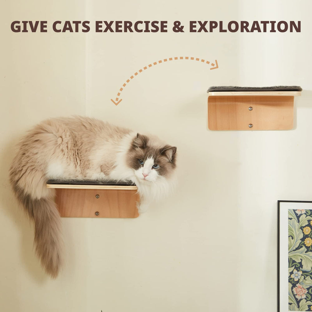 LIORCE scratch-resistant mat on wall shelf provides a secure play surface.