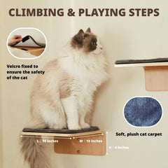 LIORCE solid bent-wood construction ensures durable cat furniture.