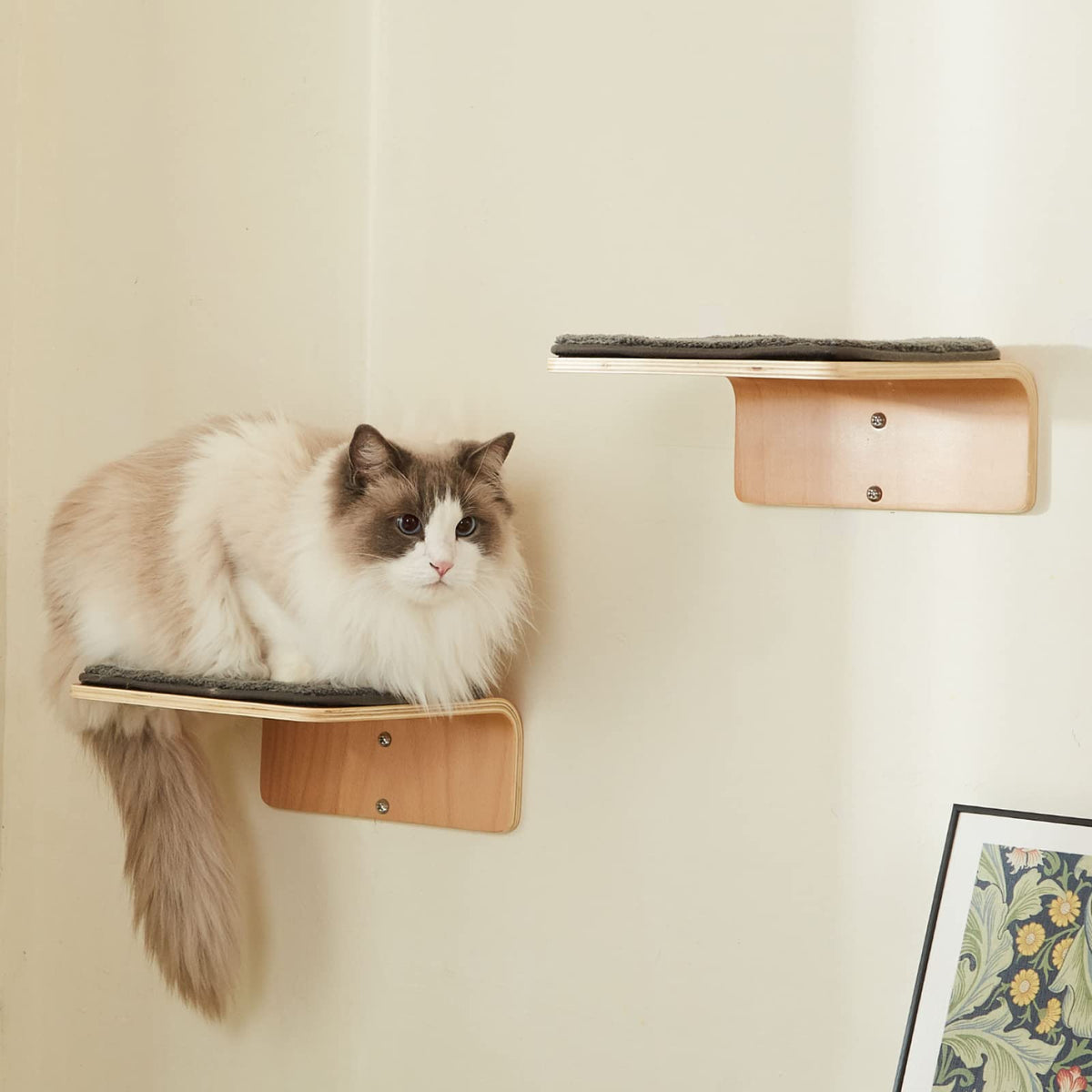 LIORCE two-cat steps on wall-mounted wooden shelves for safe climbing and exploration.
