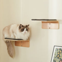 LIORCE two-cat steps on wall-mounted wooden shelves for safe climbing and exploration.