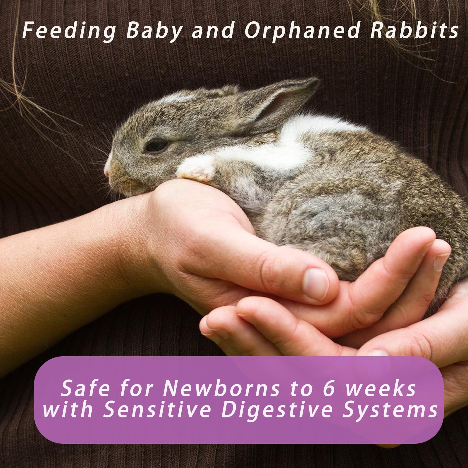 Liovsiso fed baby rabbit showing healthy growth with milk replacer
