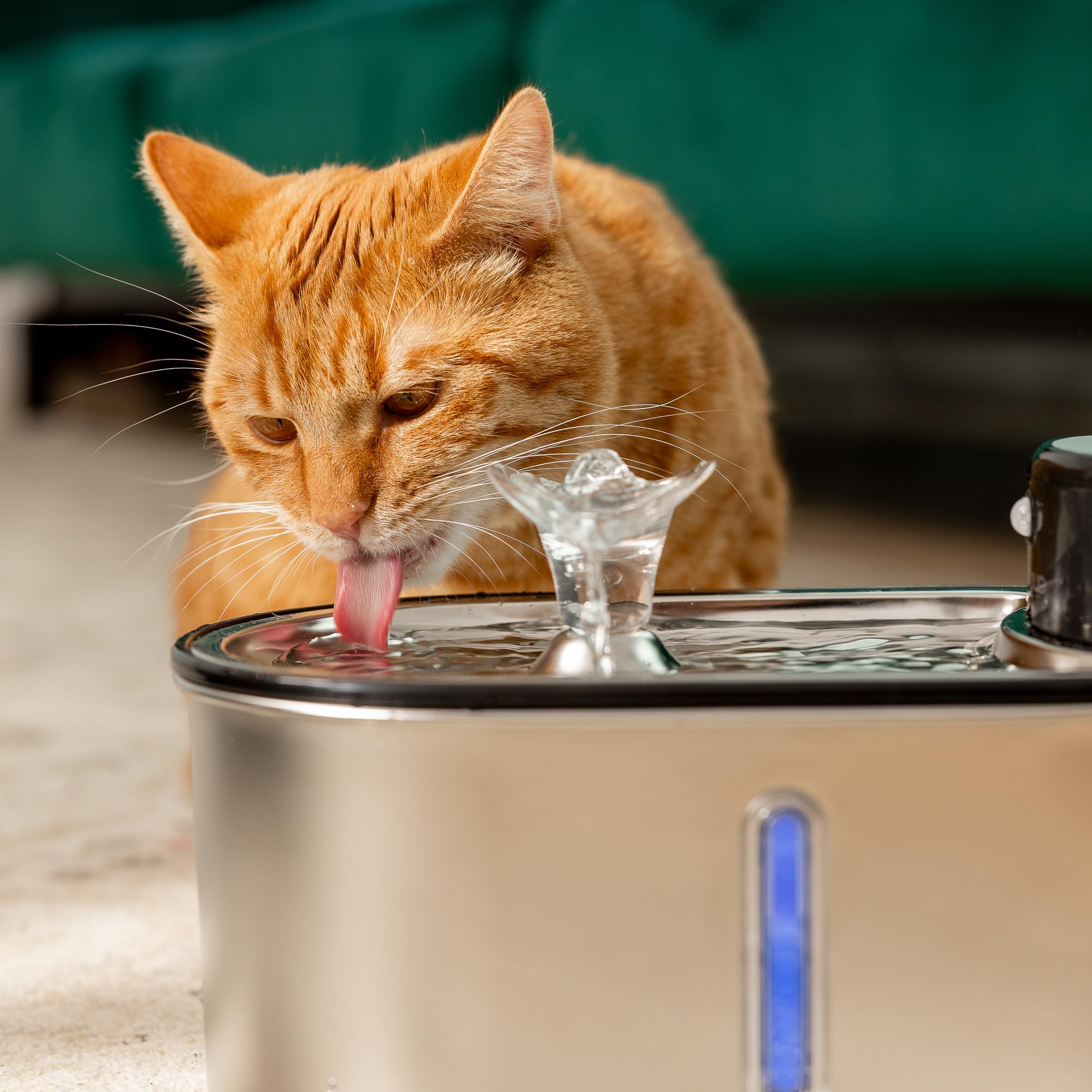 LIPPUP subscribe-save option ensures steady access to filtered water.