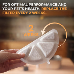 LIPPUP ion exchange resin layer cleanses minerals for clearer, smoother-tasting water.
