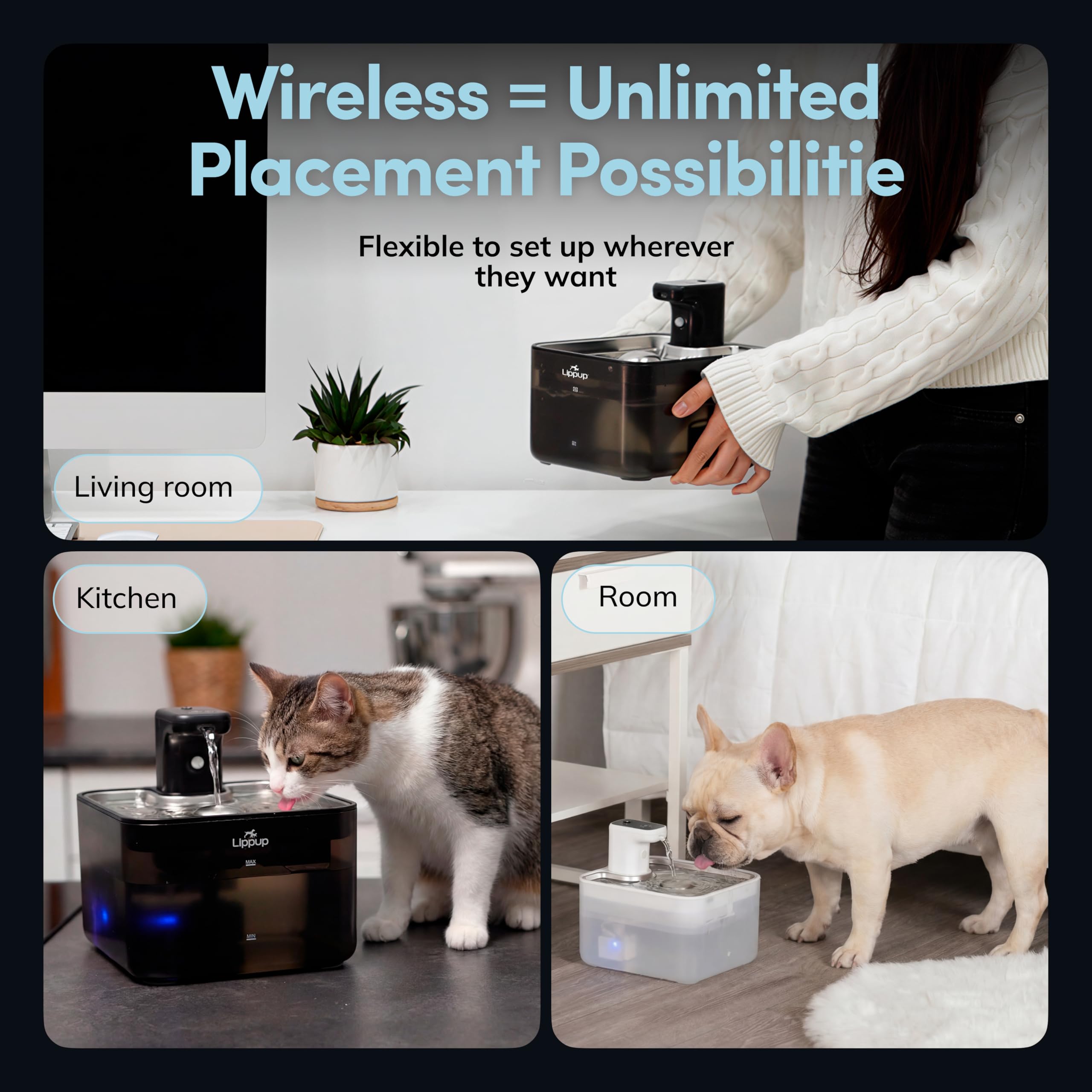 LIPPUP motion sensor activated flow encourages cat drinking