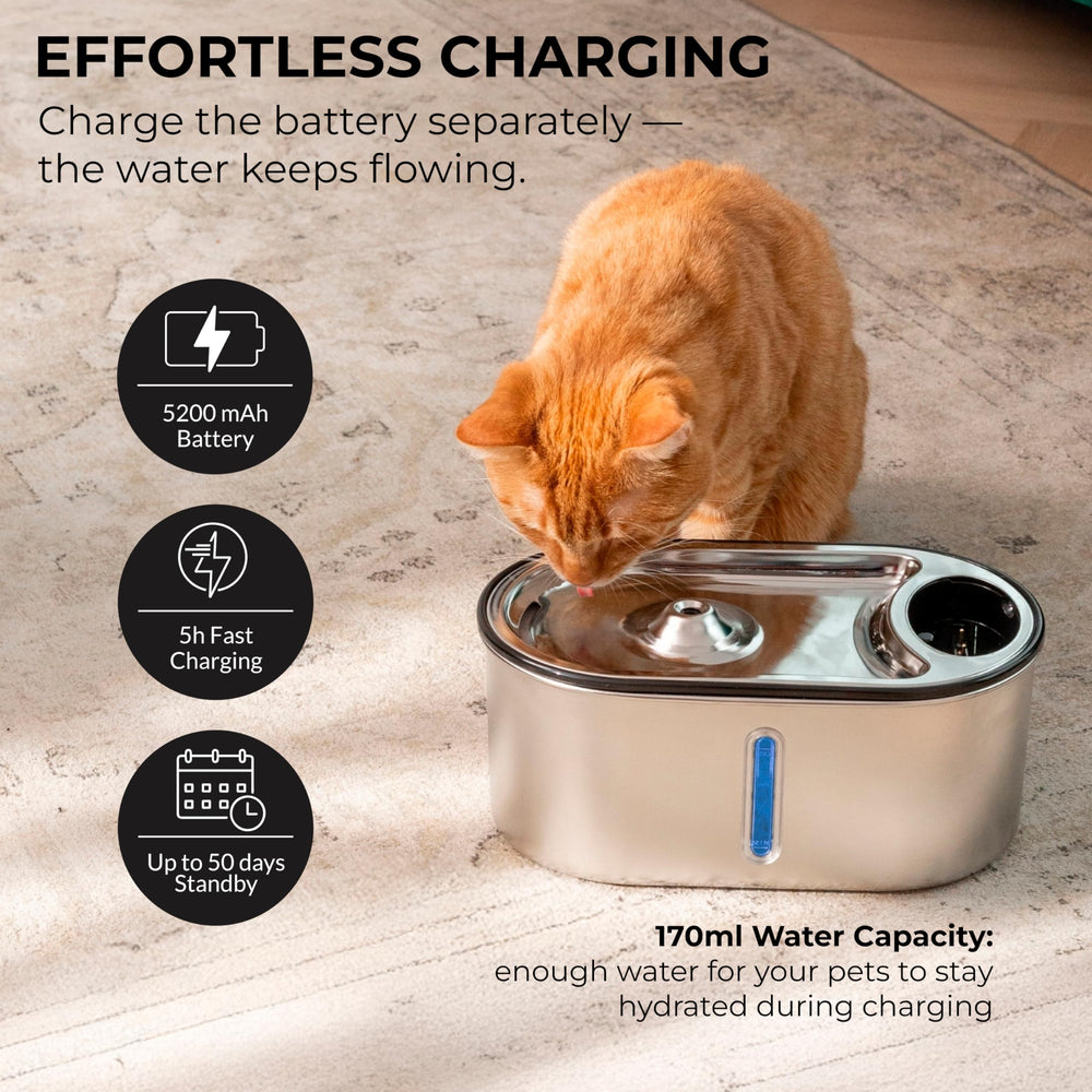 LIPPUP quiet pump operation is suitable for night-time cat hydration.