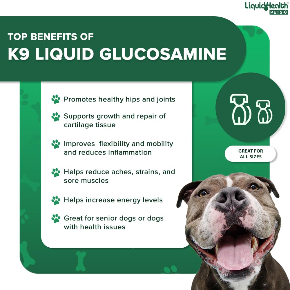 LIQUIDHEALTH dog running image conveys active lifestyle supported by joint supplement