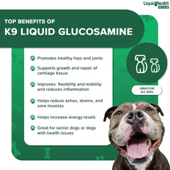 LIQUIDHEALTH dog running image conveys active lifestyle supported by joint supplement