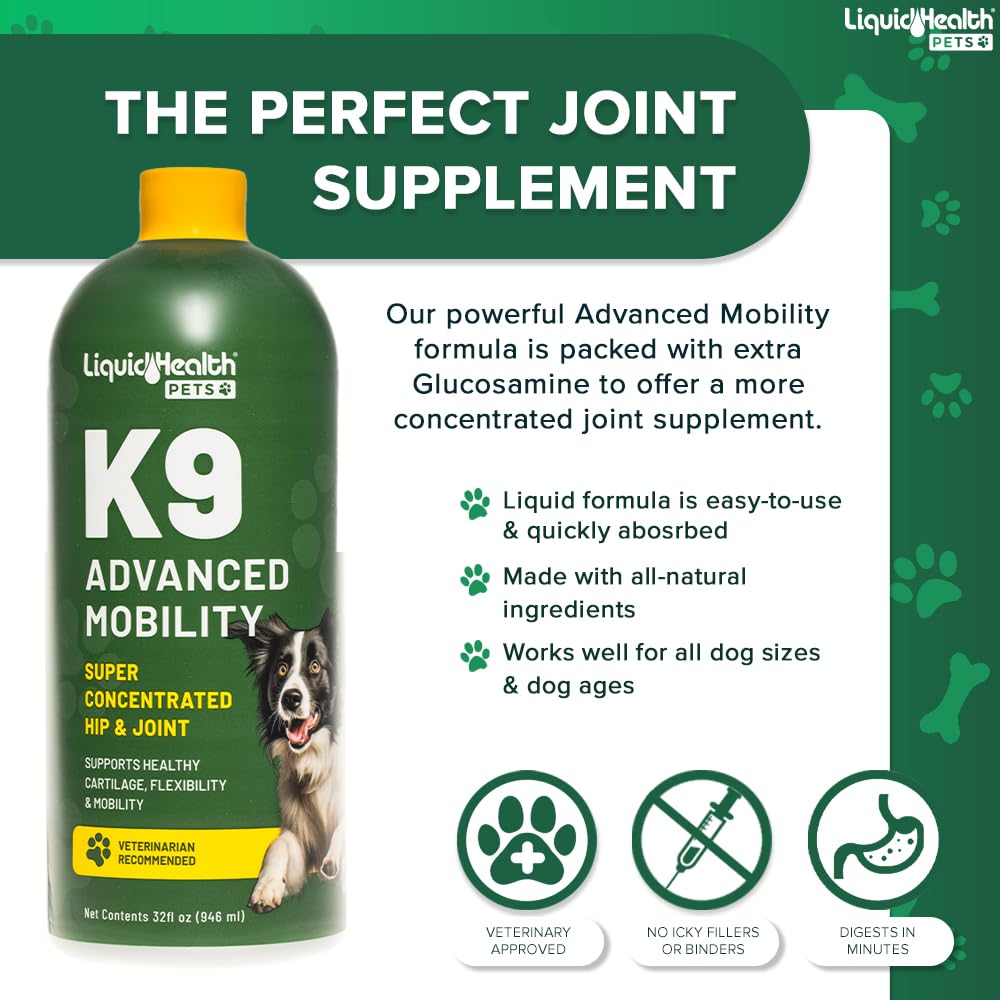 Close-up of dog joints and motion with LIQUIDHEALTH mobility