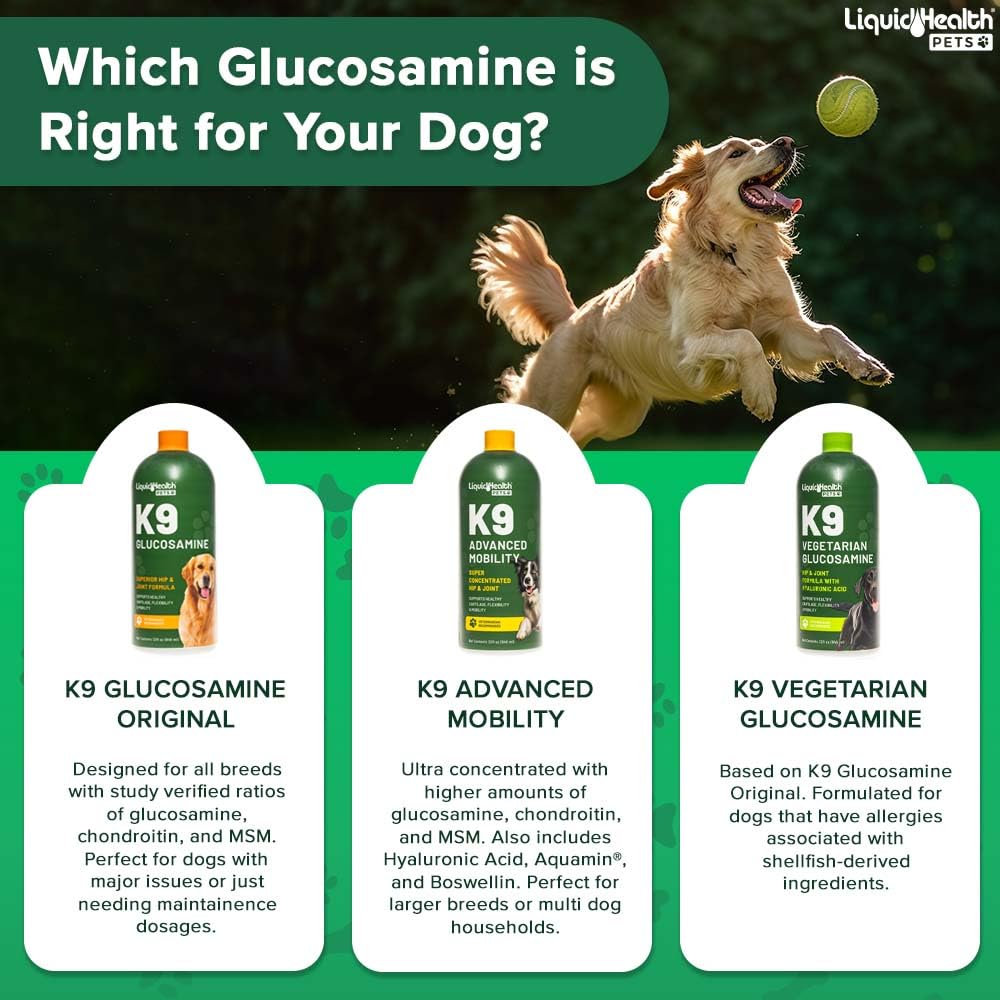 Pouring LIQUIDHEALTH K9 Advanced Mobility over dog food for easy feeding