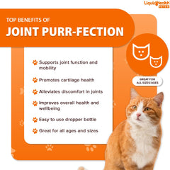 LIQUIDHEALTH Hyaluronic acid for cats enhances joint lubrication.