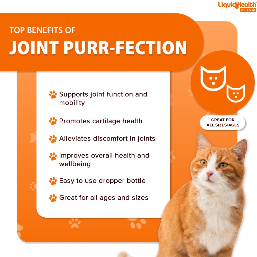LIQUIDHEALTH Cats Joint beef-gravy flavor entices cats to take supplement.