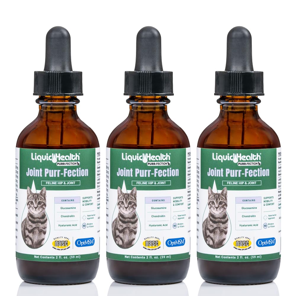 LIQUIDHEALTH Cats Joint bottle pour supports hip and joint comfort.