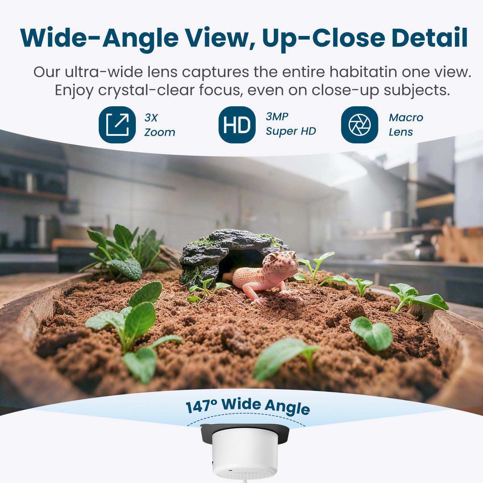 Litokam Reptile Camera anti-glare design for glass tanks