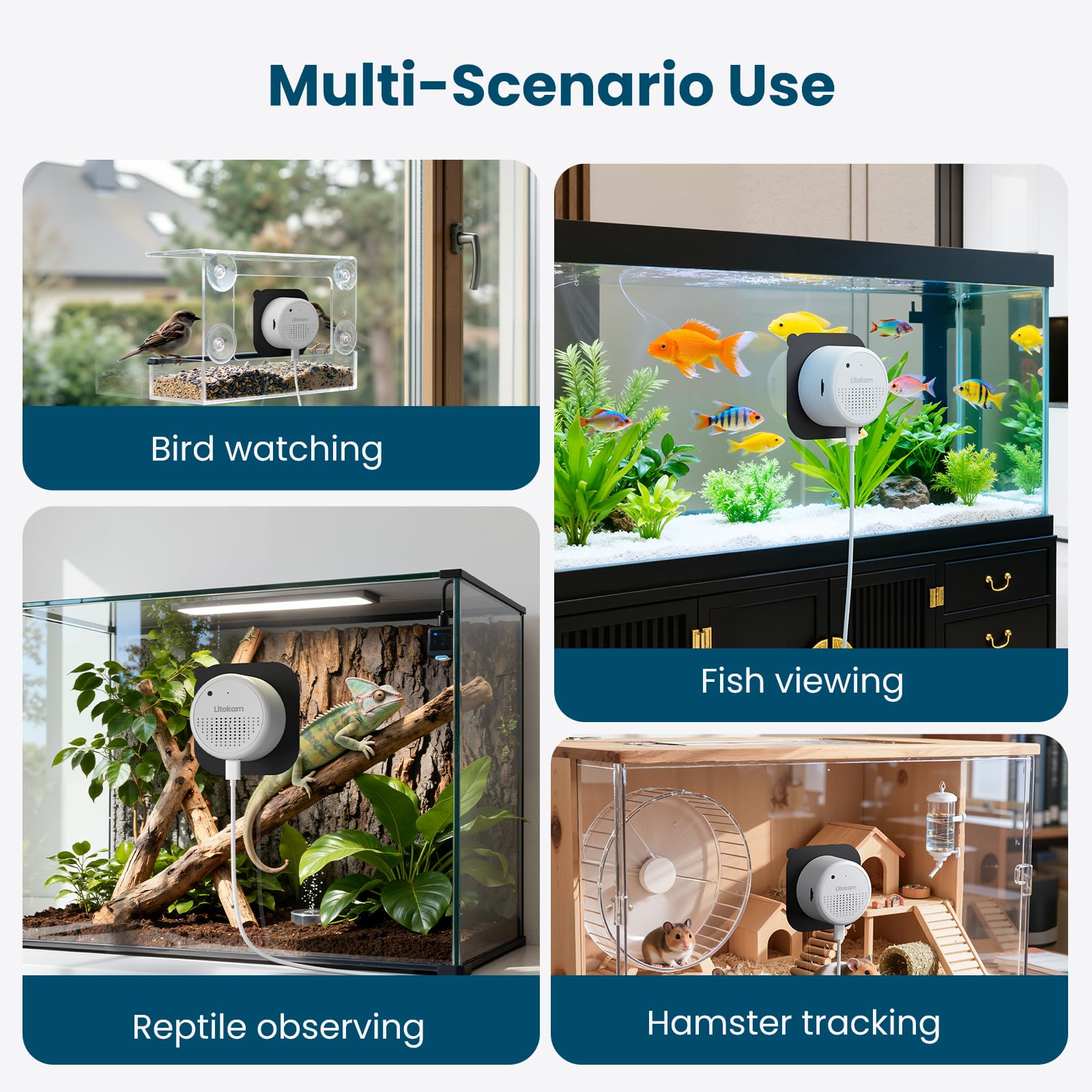 Litokam Reptile Camera magnetic mount for quick placement