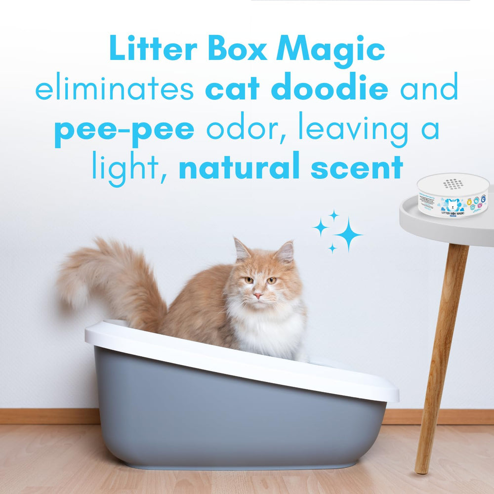 Litter Box Magic unscented gel jar with twist-open cap for mess-free placement.