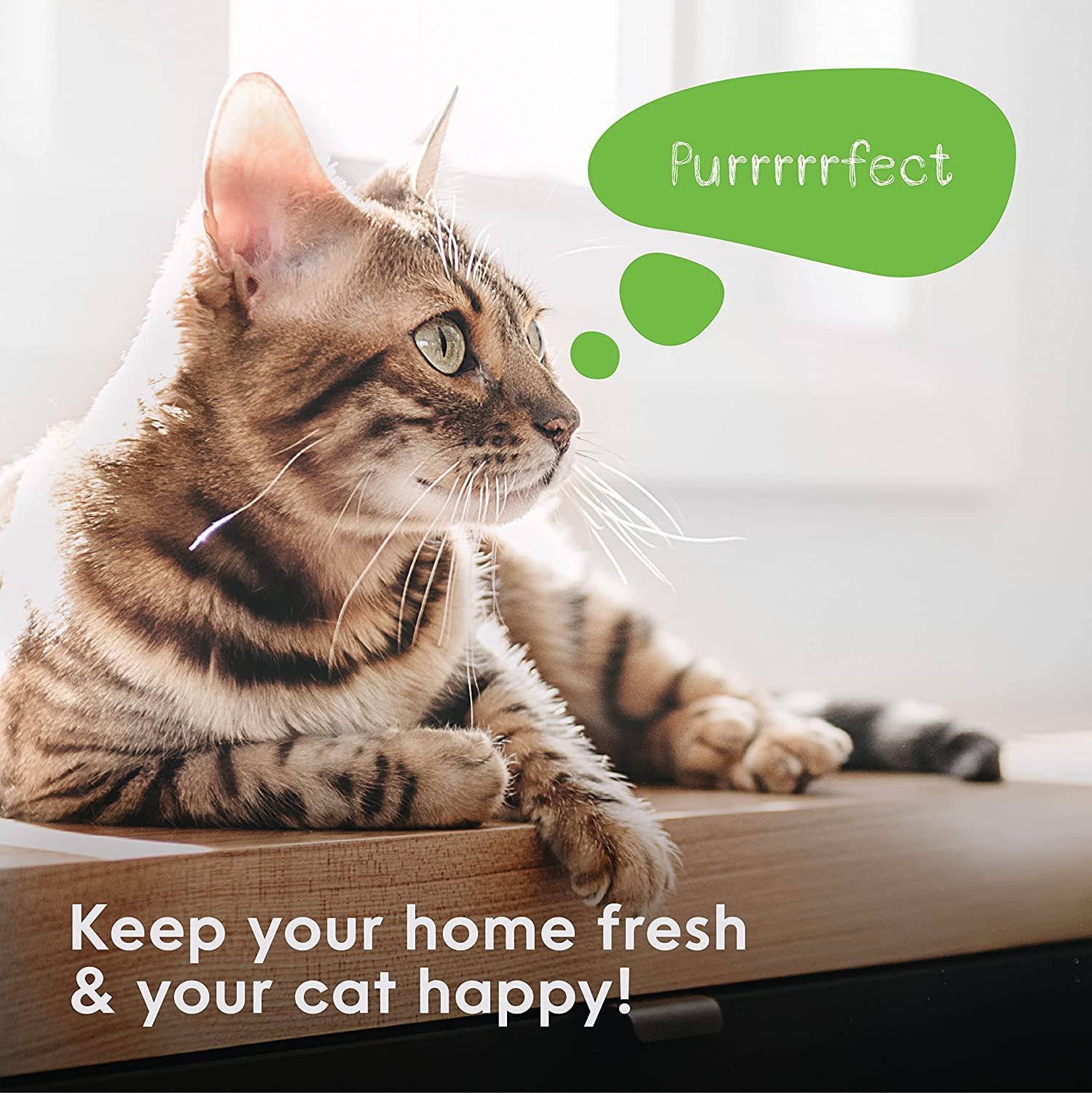 Litter Genie compact design ideal for homes with one cat and odor control.