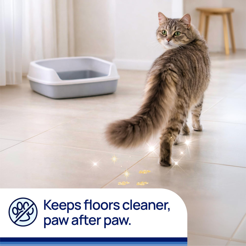 Litter Pearls Tracksless unscented crystals safe for cats and households