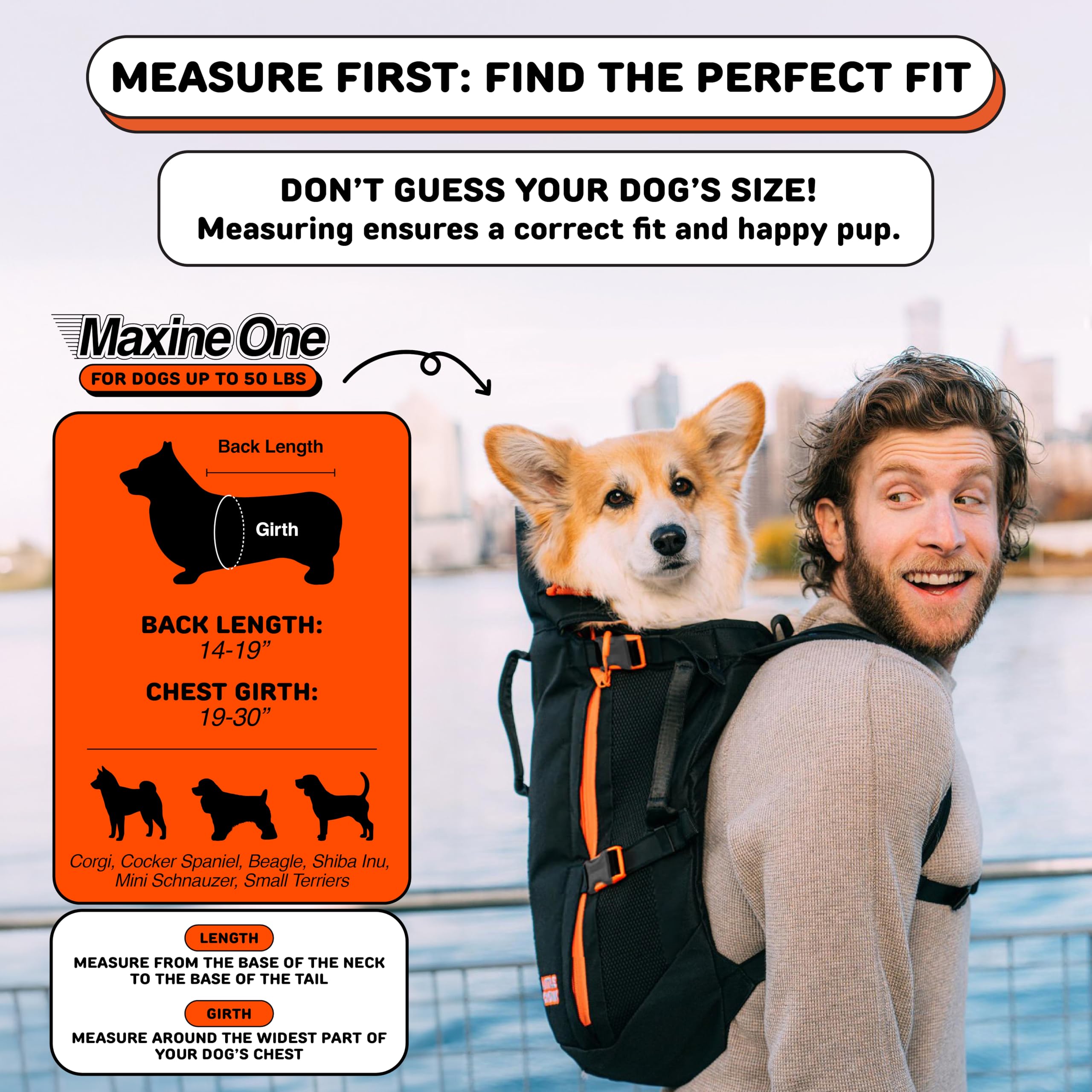 Little Chonk Maxine back view carrier illustrating rigid frame for posture