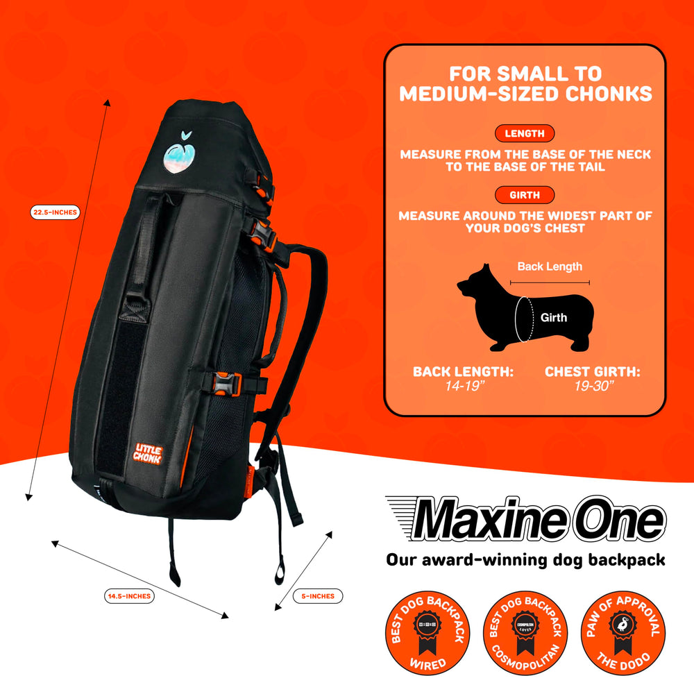 Soft elastane neck collar protects movement while keeping your dog comfy.