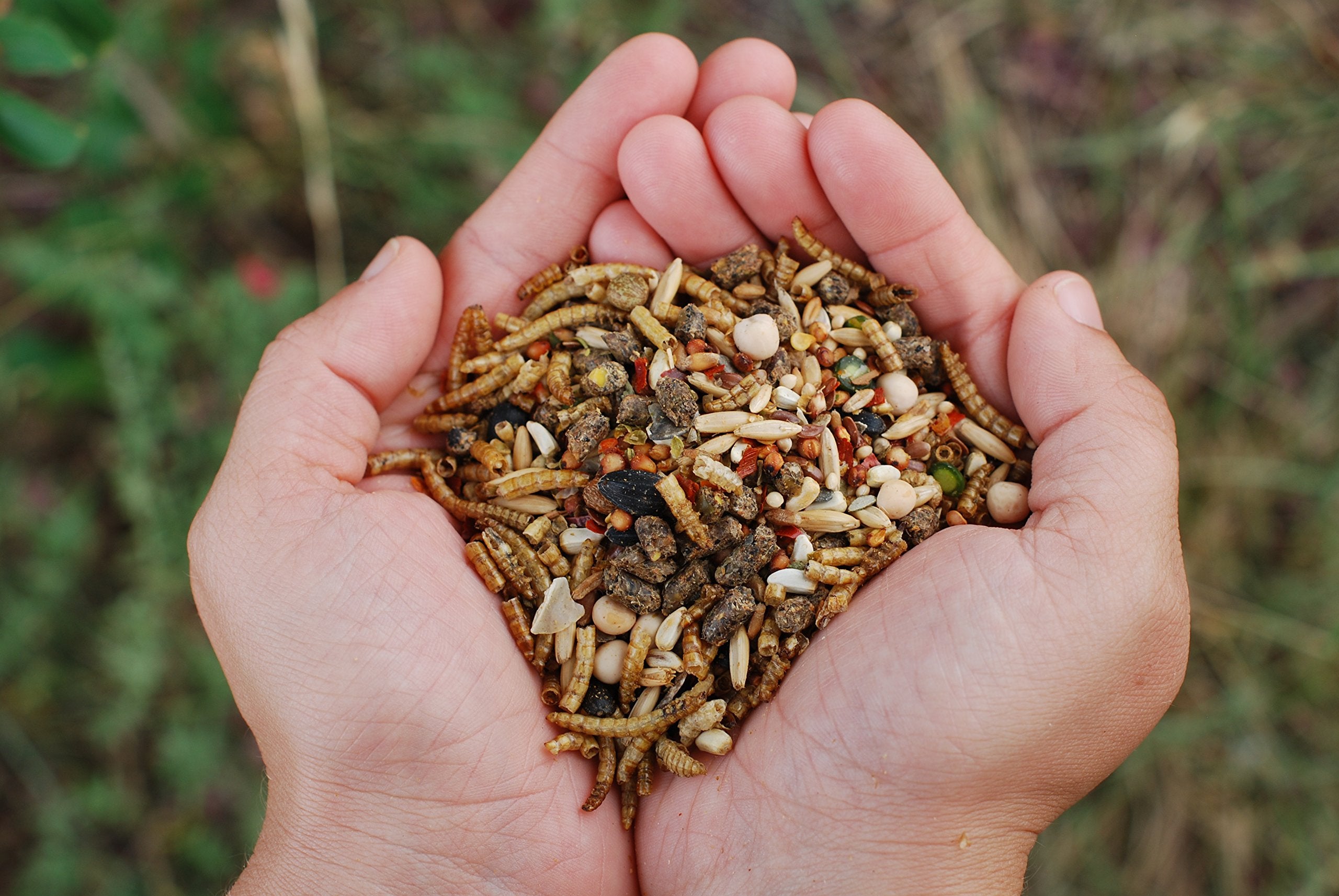 LITTLE FARMER Chicken Fun-DOO flax and seeds provide omega-3 for plumage shine.