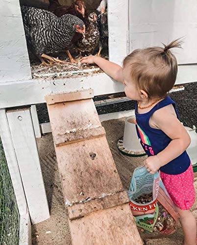 LITTLE FARMER Chicken Fun-DOO made in the U.S.A. with wholesome ingredients.