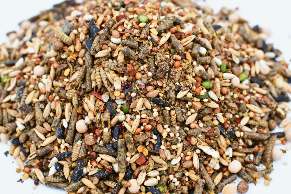 LITTLE FARMER Chicken Fun-DOO dried mealworms highlight high protein for laying hens.
