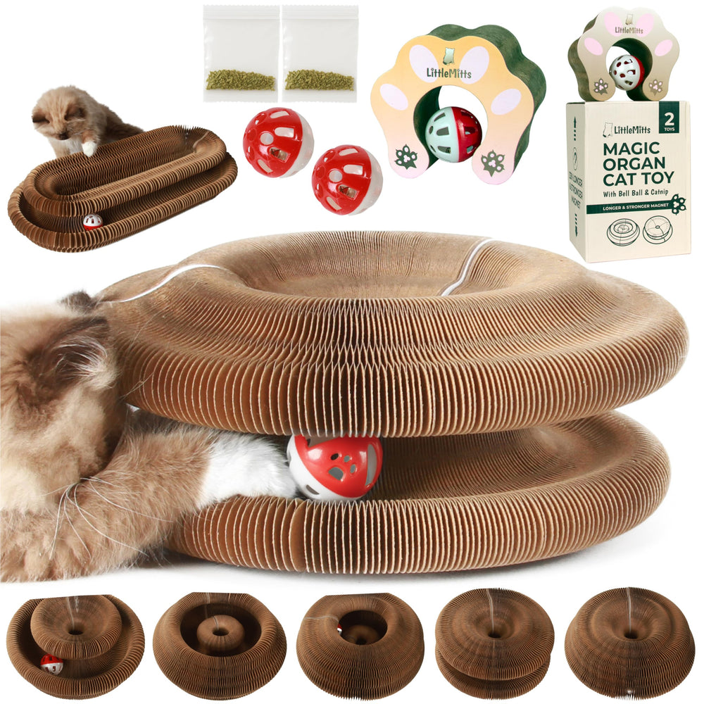 LittleMitts 2X Magic Organ cat Scratcher expanded circles for engaging play