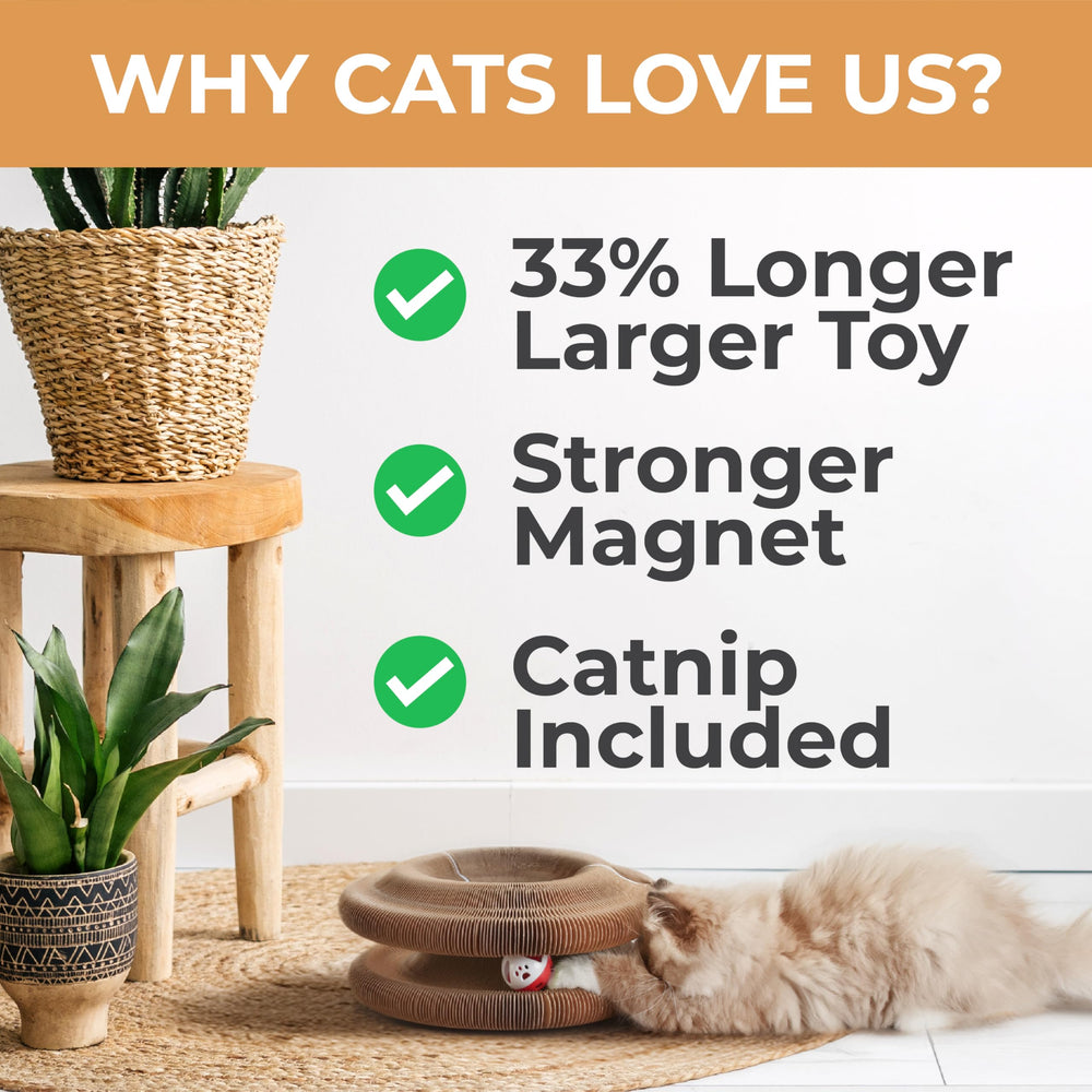 LittleMitts 2X Magic Organ cat Scratcher four magnets secure ends during play