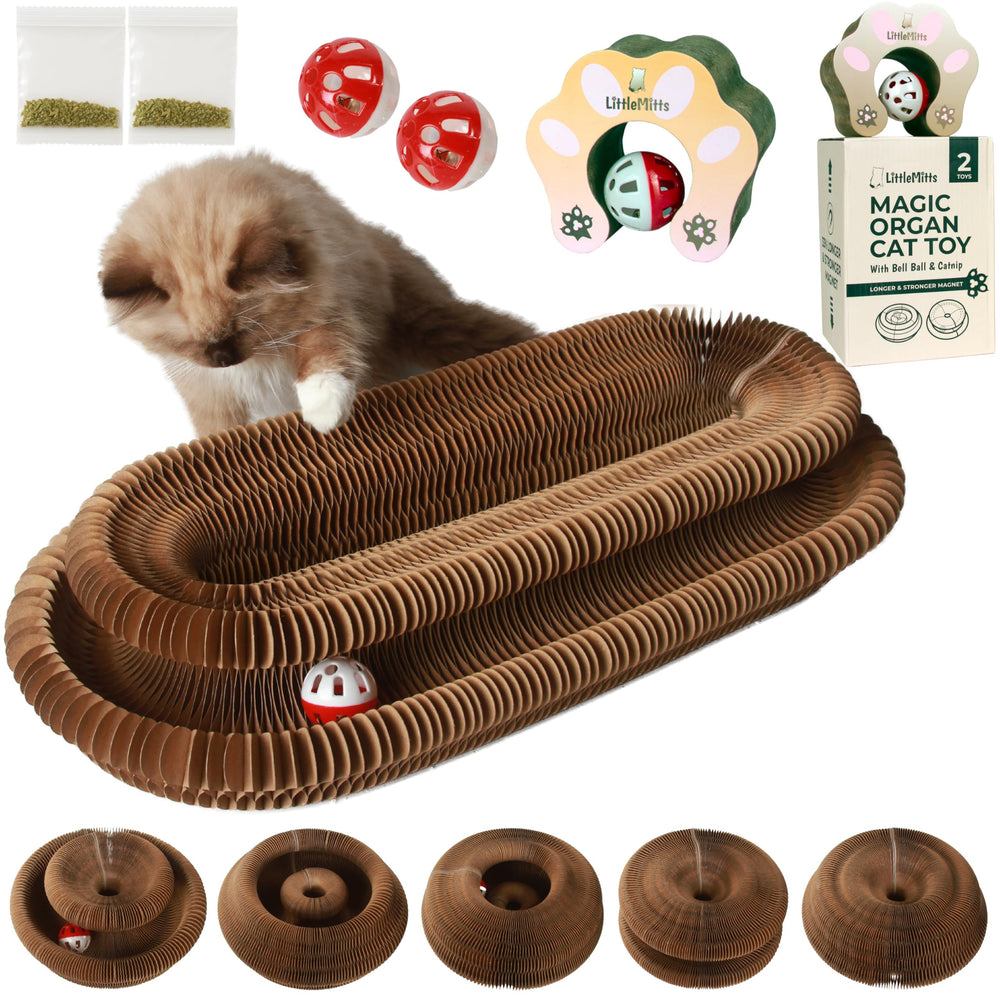 LittleMitts 2X Magic Organ cat Scratcher interactive shape change for variety