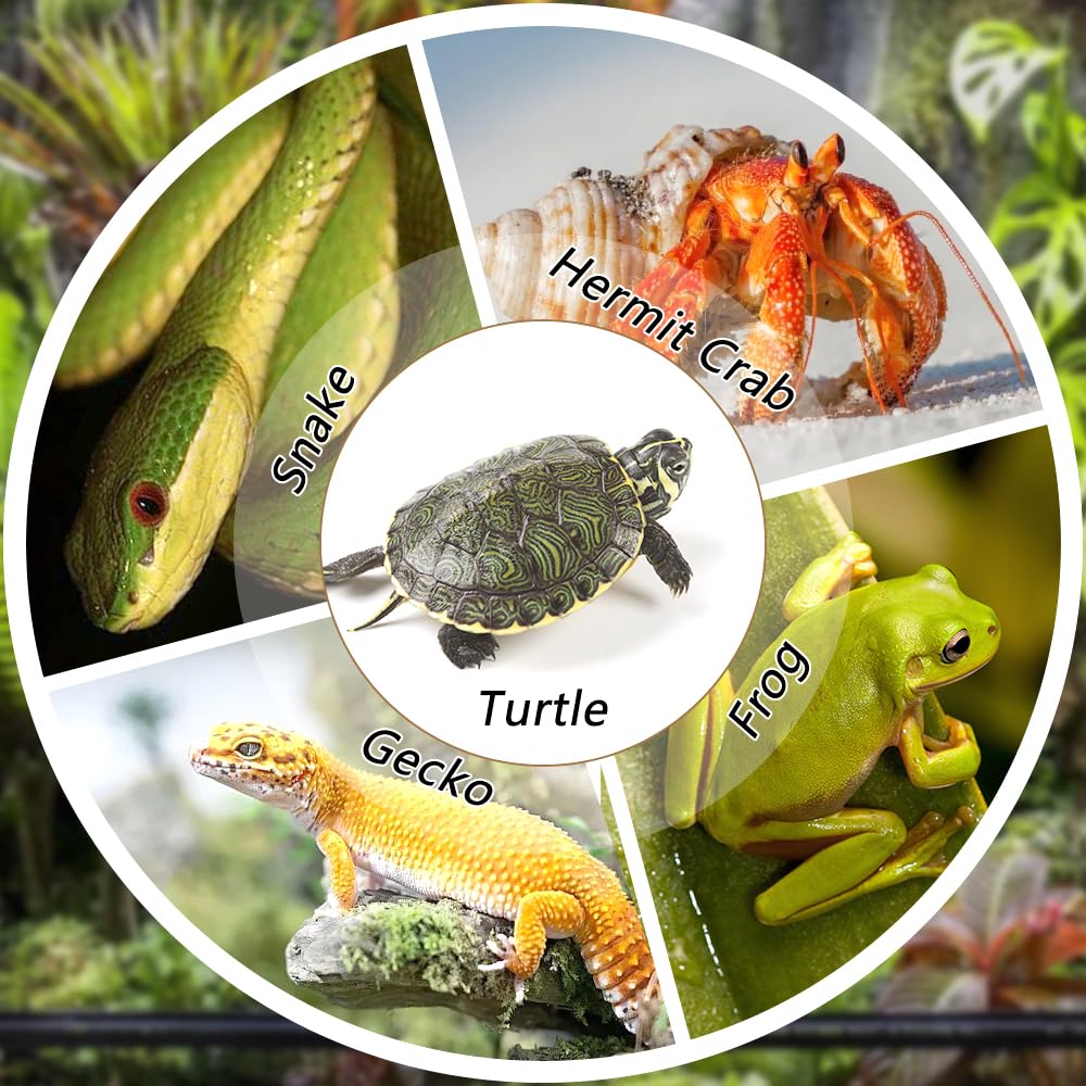 LIUZONGIN DIY Terrarium Decor use shows versatile placement for gardens or enclosures.