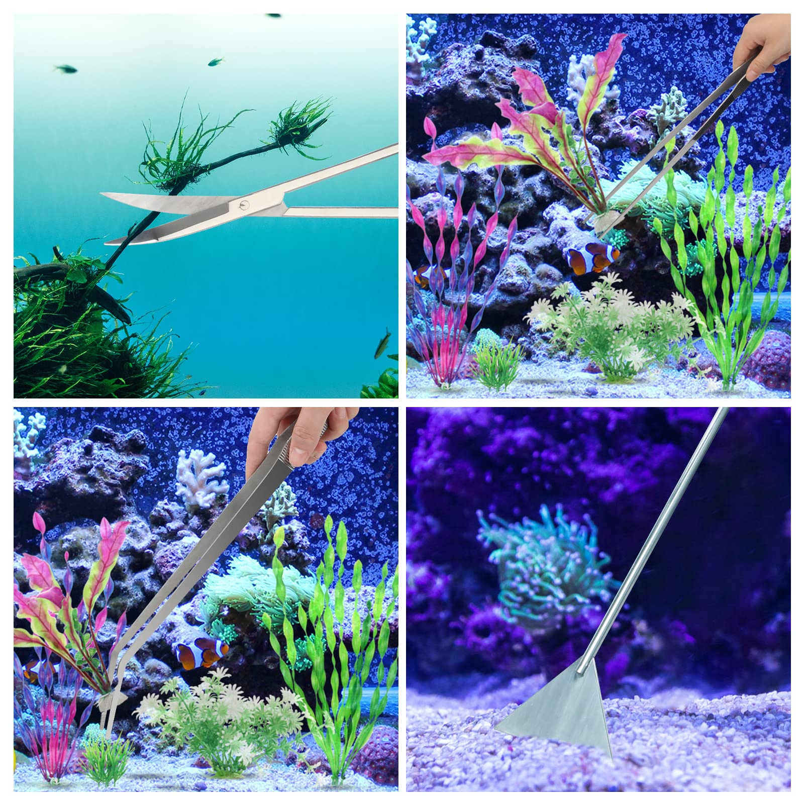 Liveek aquarium tools in use for tidy, thriving tanks.