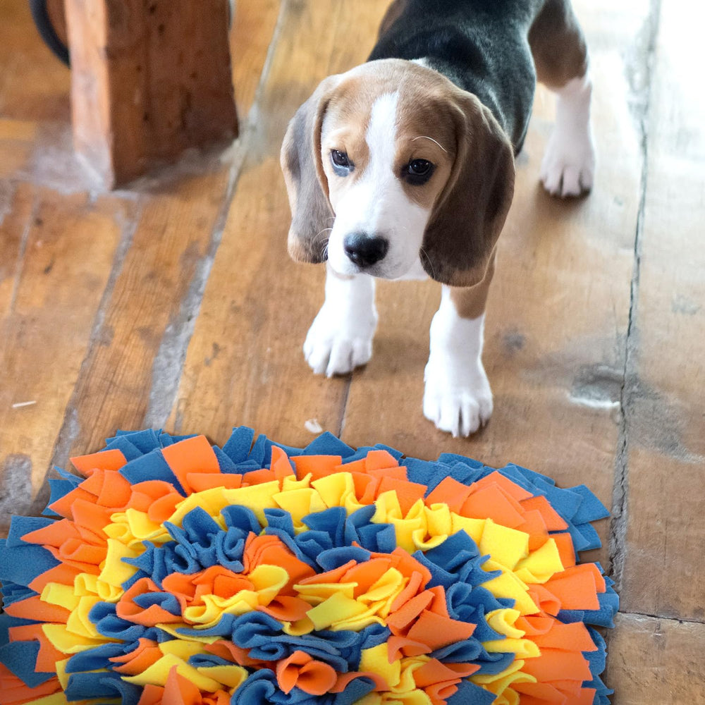 LiveKEY dog snuffle mat in use foraging training