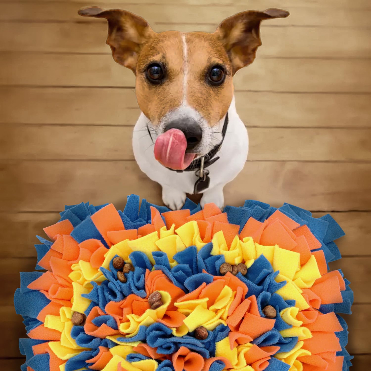 LIVEKEY two-dog scene showcasing multi-pet versatility and boredom relief.