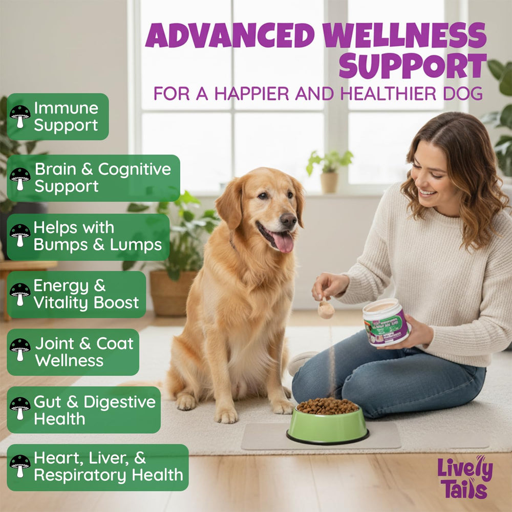 Lively Tails 4-in-1 mushroom blend supports immunity and cognition for dogs.